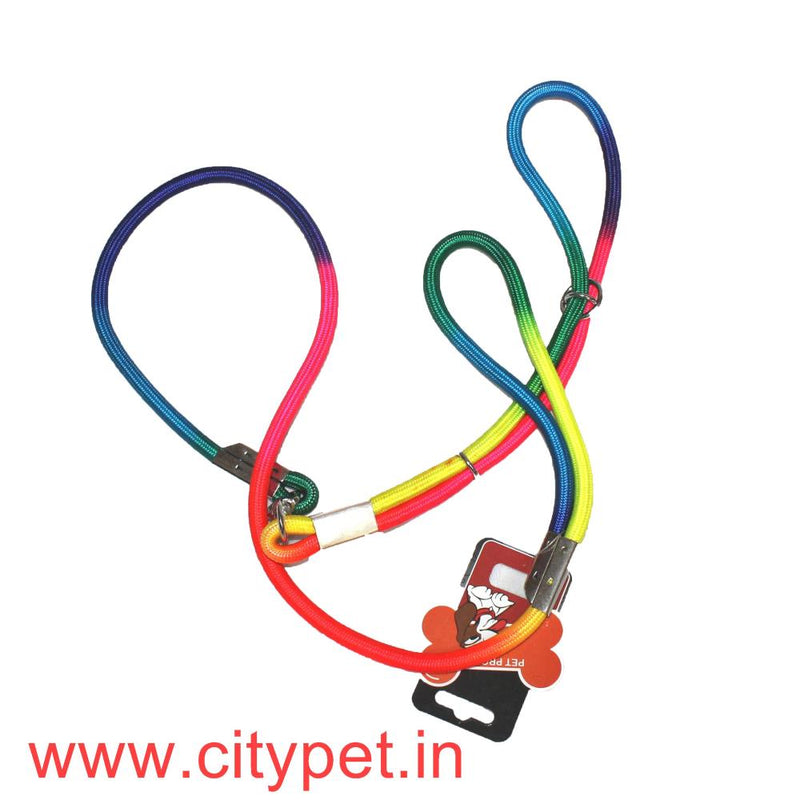 Furry Friend Multicolor Leash with adjustable collar