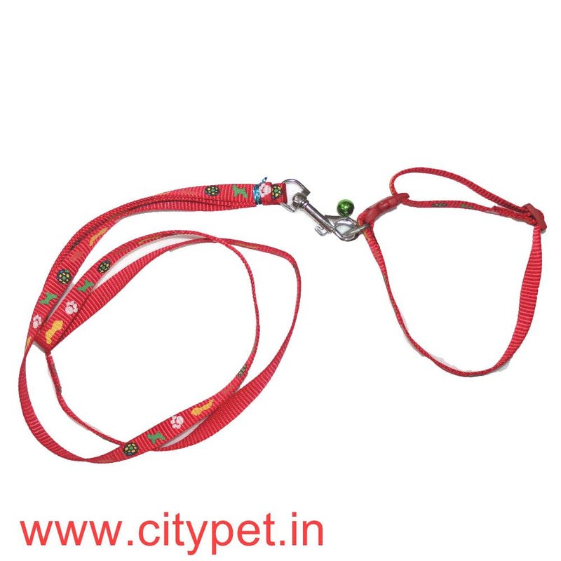 Furry Friend Premium Printed Dog Leash-Collar Set with Bell (width 10 mm) 5