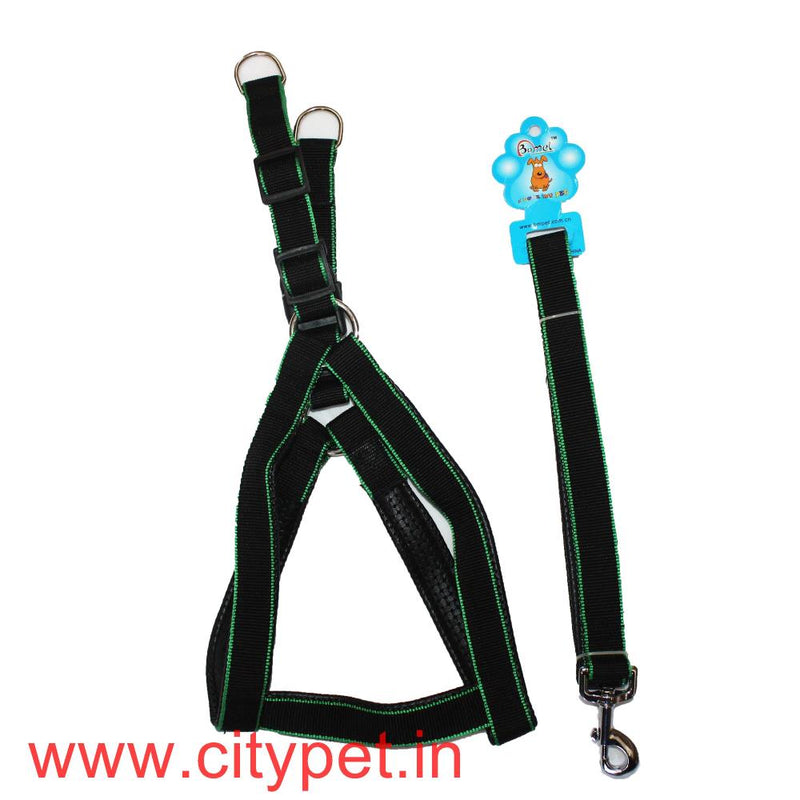 Premium Soft Padded Harness with Leash- Medium 3