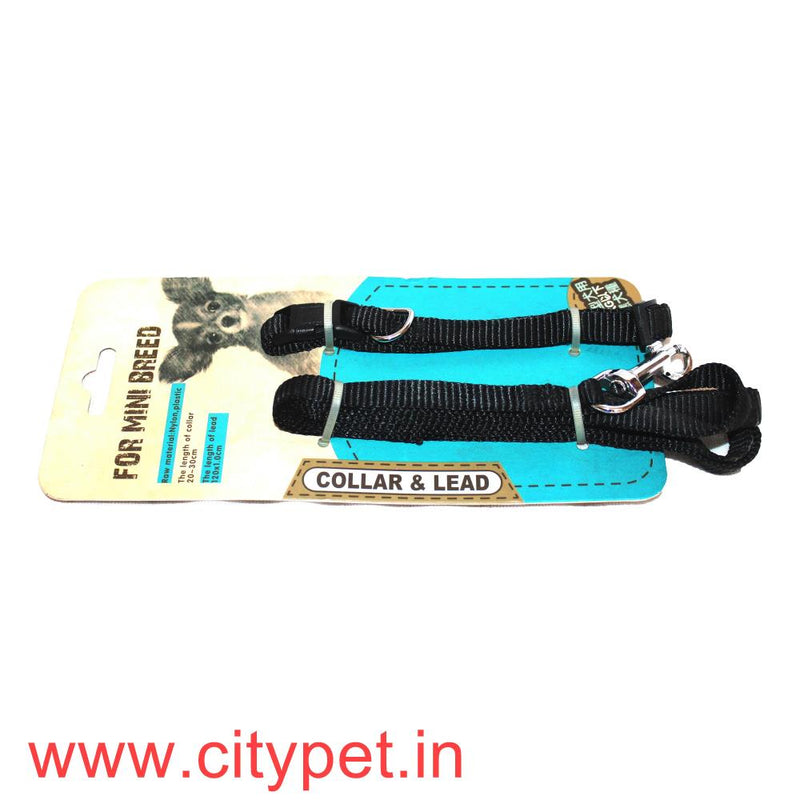 Furry Friend Premium Puppy Collar-Lead Set 3