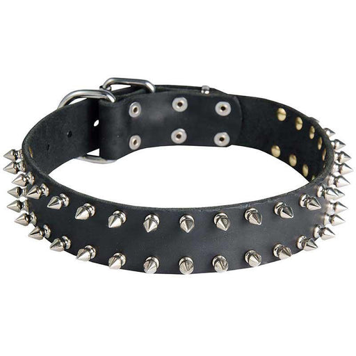Furry Friend Leather Double Spike Collar for Dog- Large