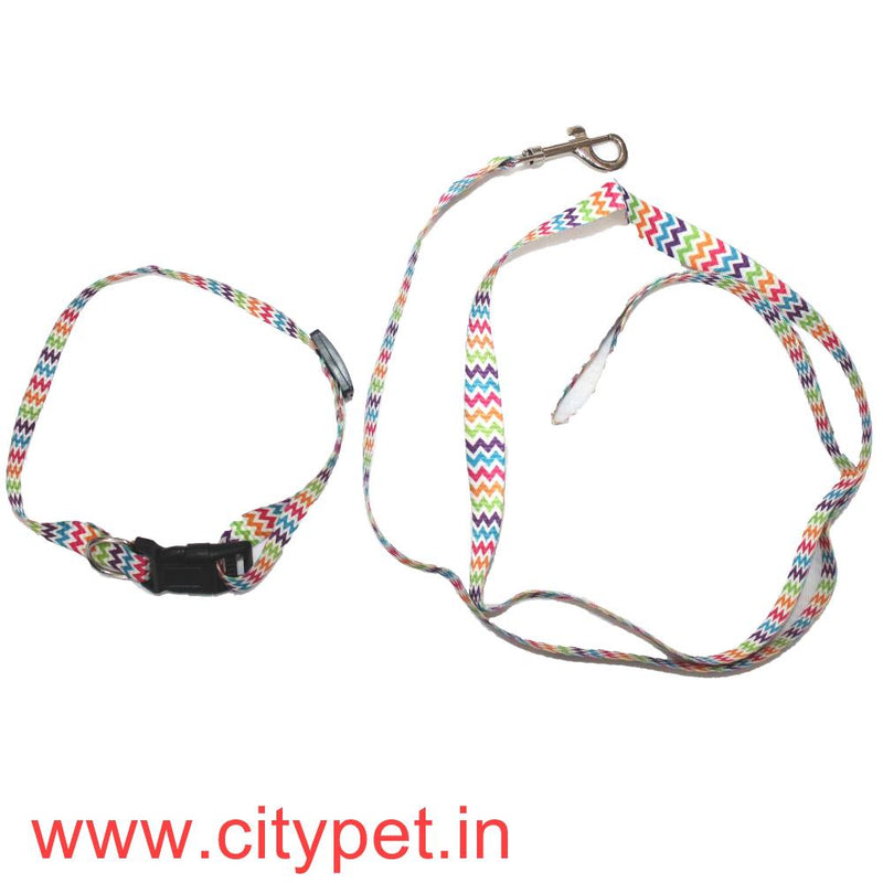 Printed Nylon Leash with adjustable Collar Set (width .5 inch) Small 3