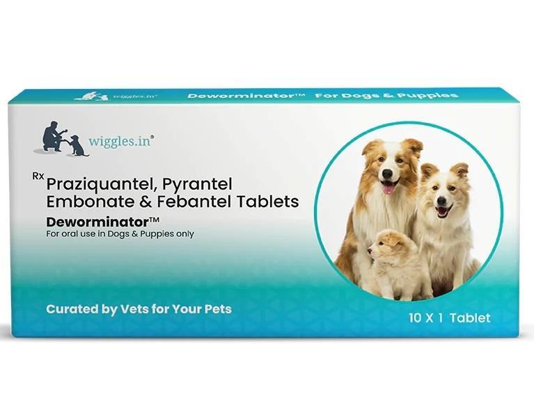 Wiggles Deworminator Dog Dewormer Tablet 1x10