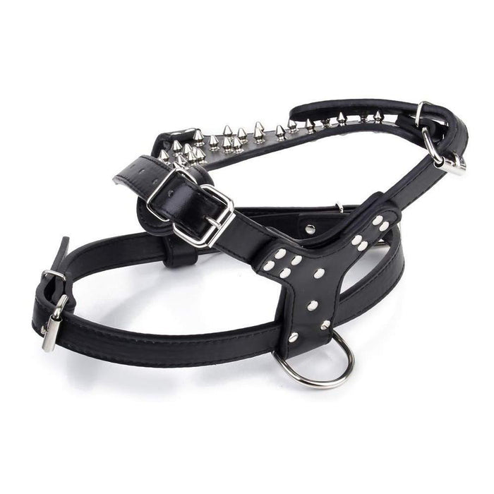 Furry Friend Leather Spiked Dog Harness